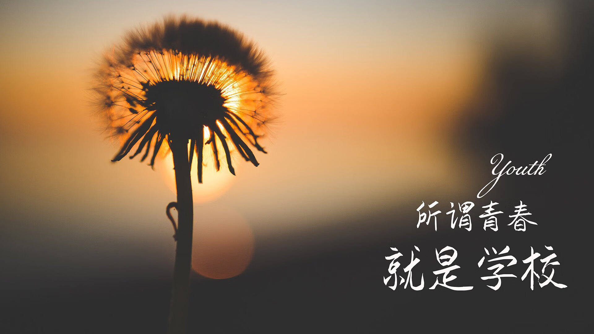 “绿色环保+智能场馆：未来运动场景向可持续发展迈进”，智能化场馆建设