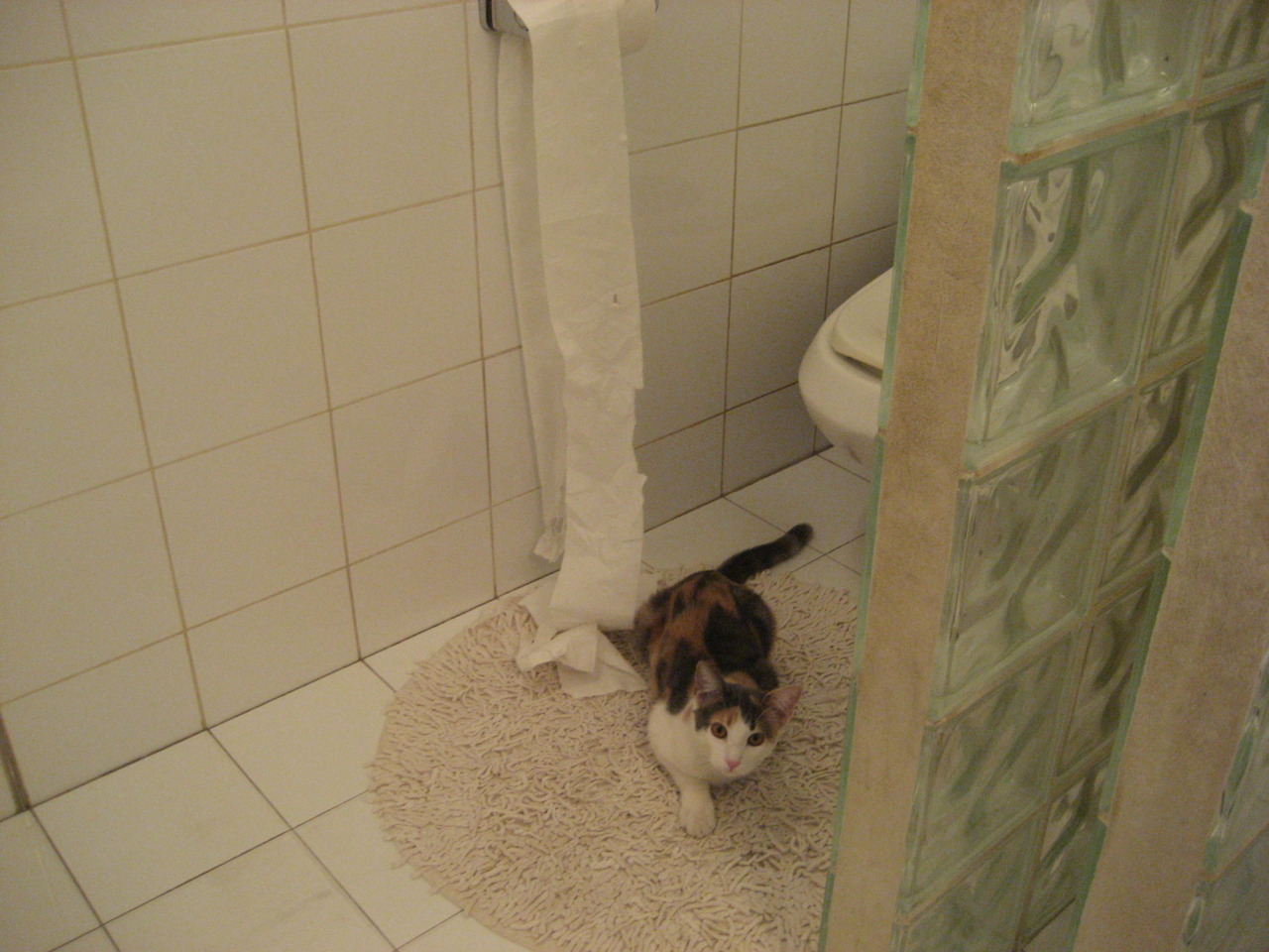 赛季最佳盖帽：那些令人惊叹的防守瞬间，单赛季盖帽最多的后卫