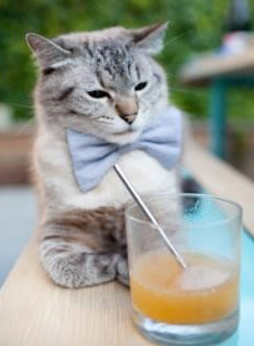 爱游戏app-NBA球员疲劳伤病严重加剧球队危机，nba球员受伤高清图片