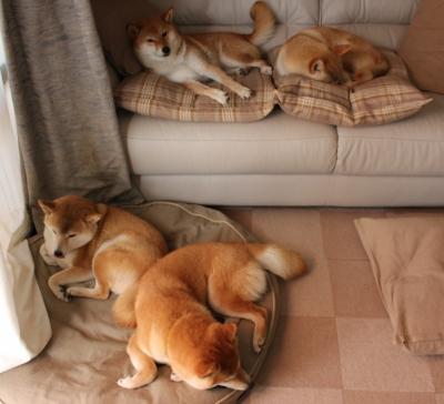 爱游戏登录入口-丁浩在“湾区杯”围棋大棋士赛中表现出色