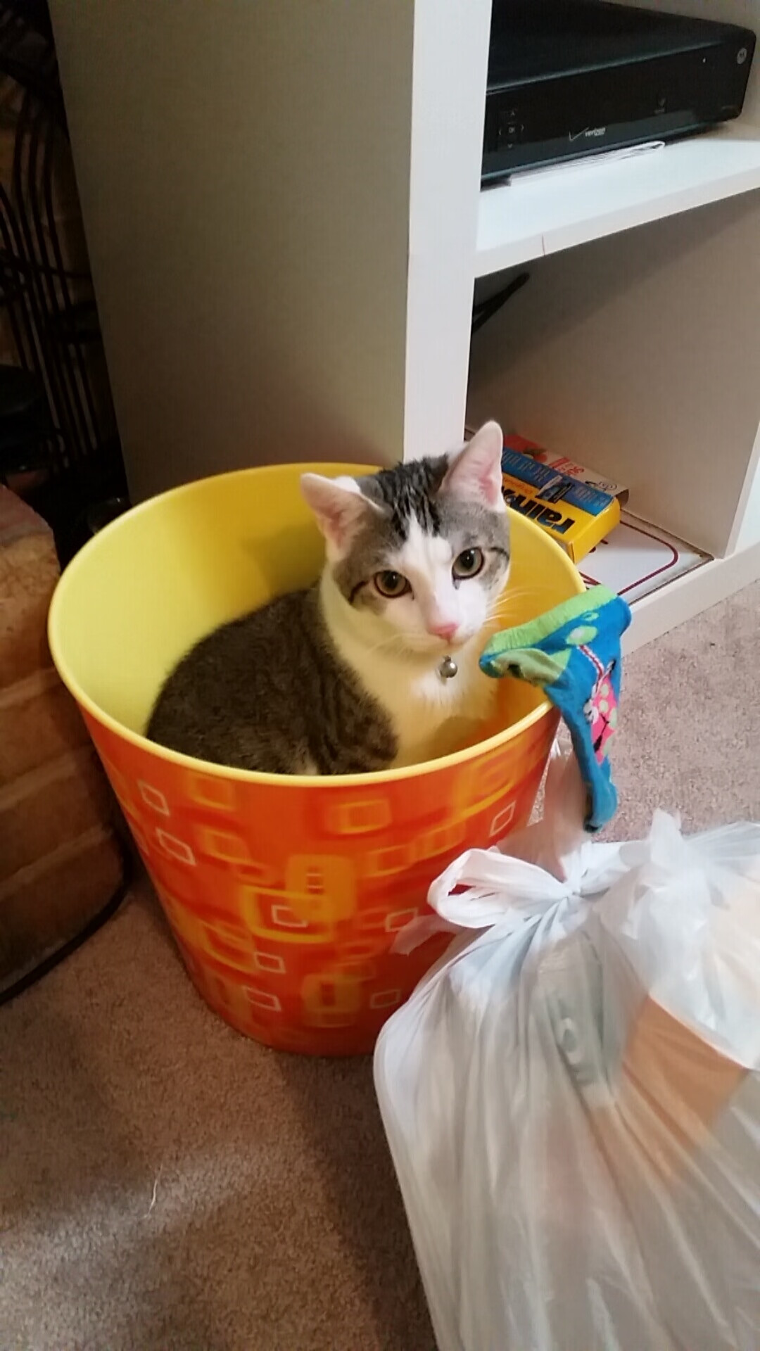 凯撒酋长备战南非国家德比，力争胜利，凯撒被称为无冕之王还是帝国先驱