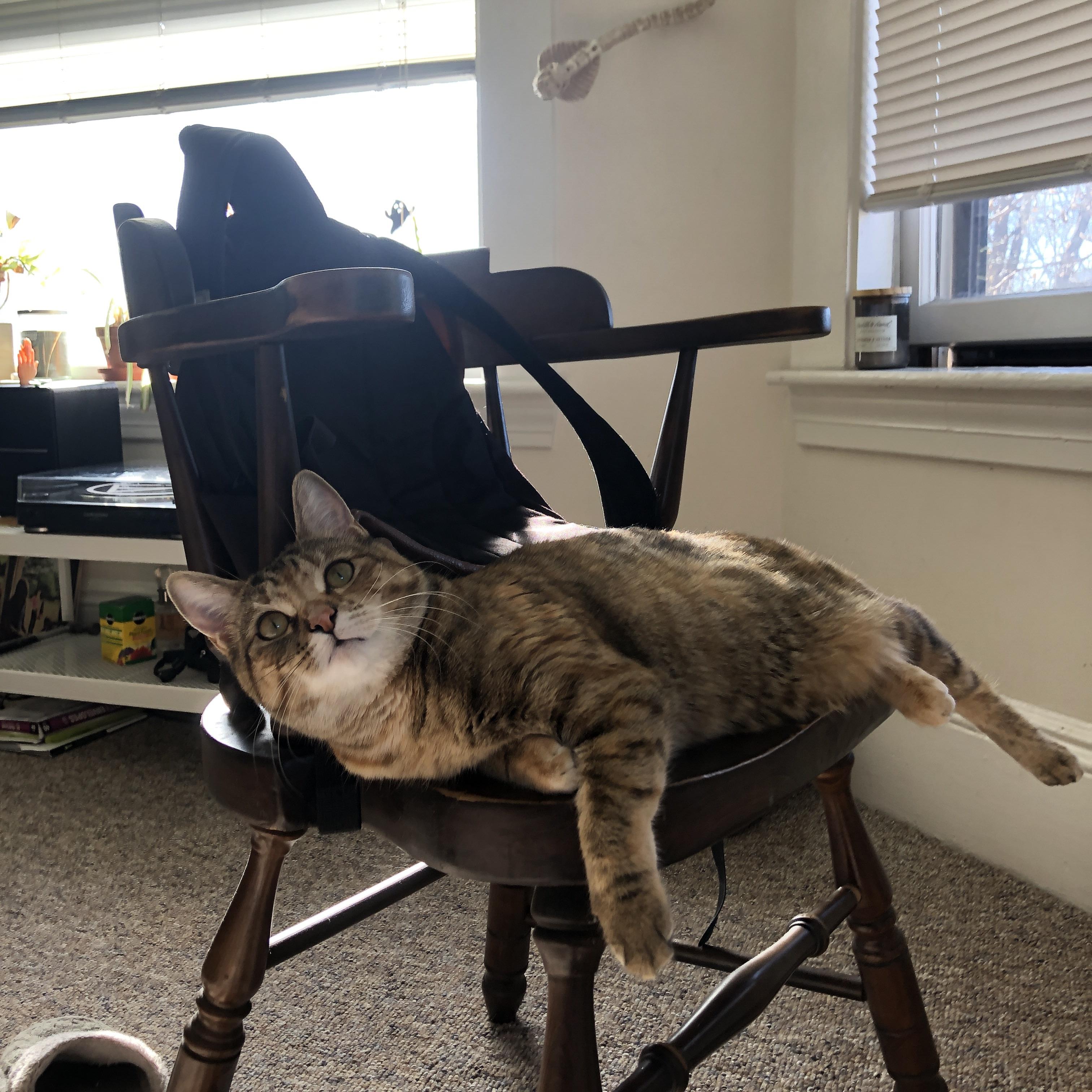 爱游戏体育app-哥伦比亚女足在巴黎奥运会上获得银牌，成就辉煌，哥伦比亚足球美女