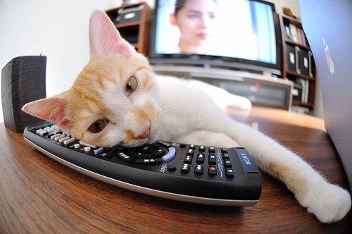 爱游戏在线登录入口-巴西女足逆转瑞典，玛塔伤愈复出闪耀赛，巴西 女足