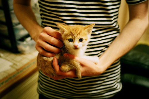 帕尔梅拉斯冲击巴甲冠军,帕尔梅拉斯对巴拉纳竞技