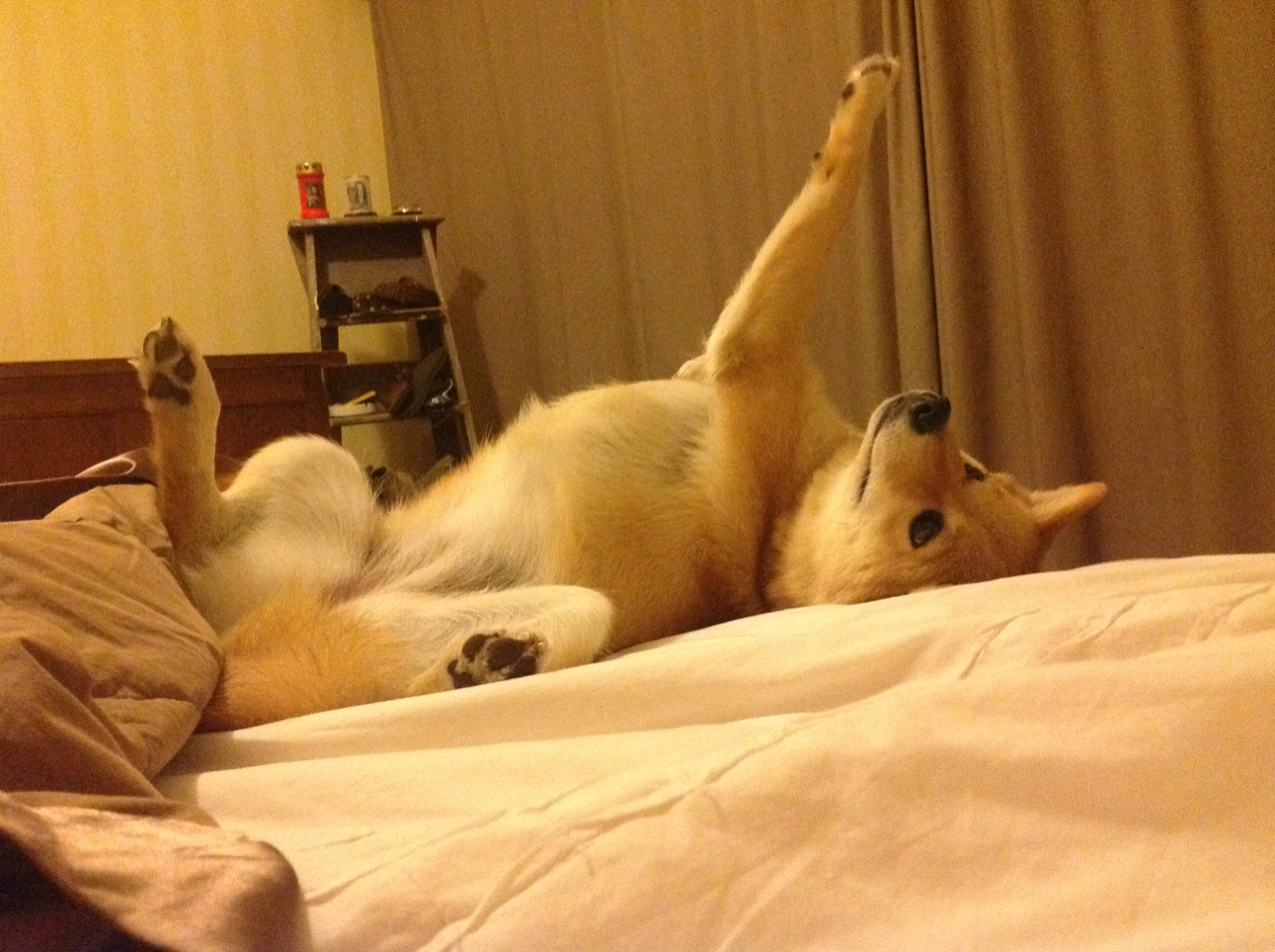 爱游戏在线登录入口-曼城客场逼平谢菲联，积分榜上仍占优势，曼城vs谢菲联