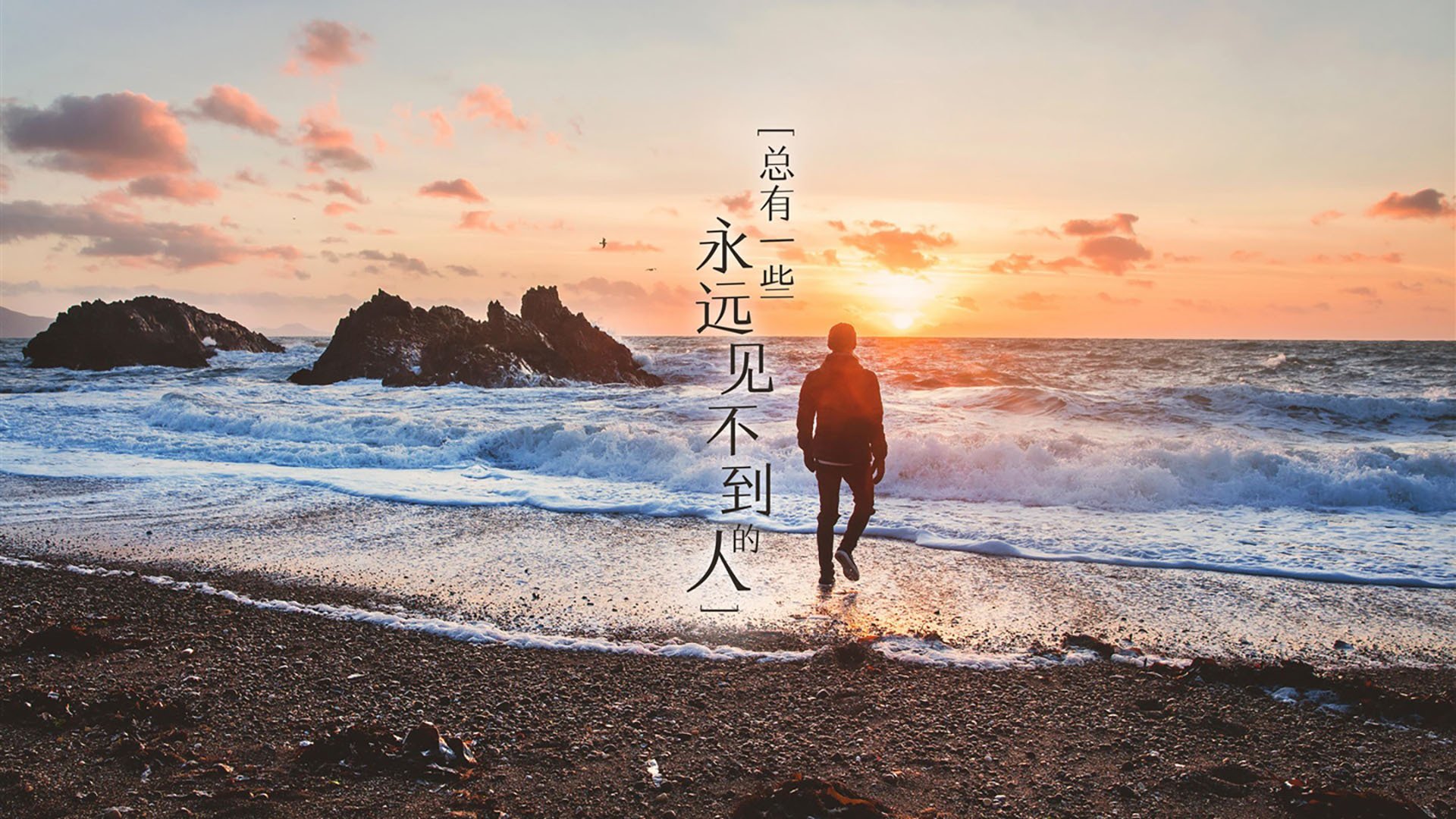 纽约自由人季后赛冲击有望,纽约自由人球员