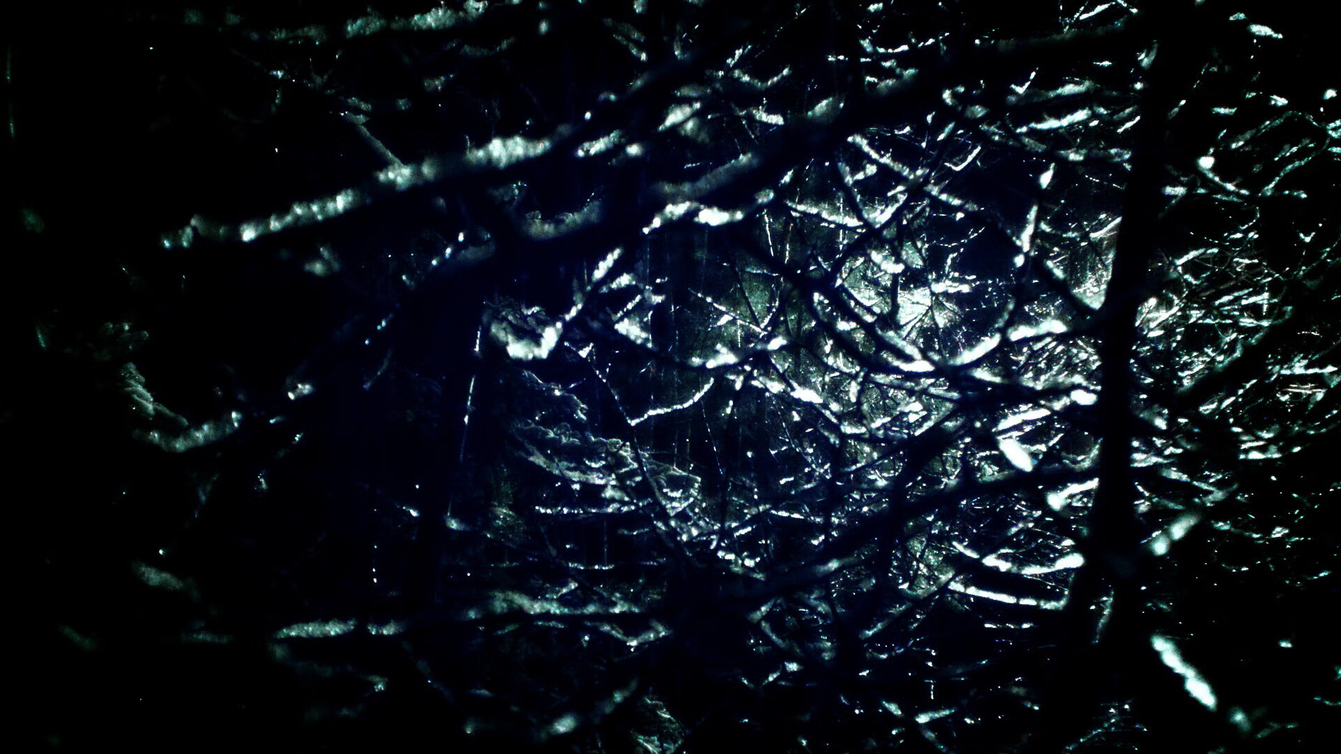 AYX GAMING-中国女篮坚持科学训练 方法不断创新，中国女篮如何