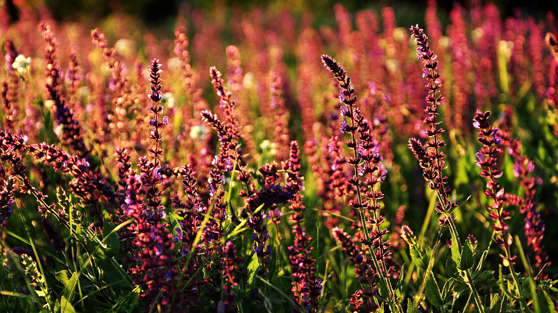 爱游戏体育-中国男篮专注提升体能 强化比赛持久力，中国男篮训练
