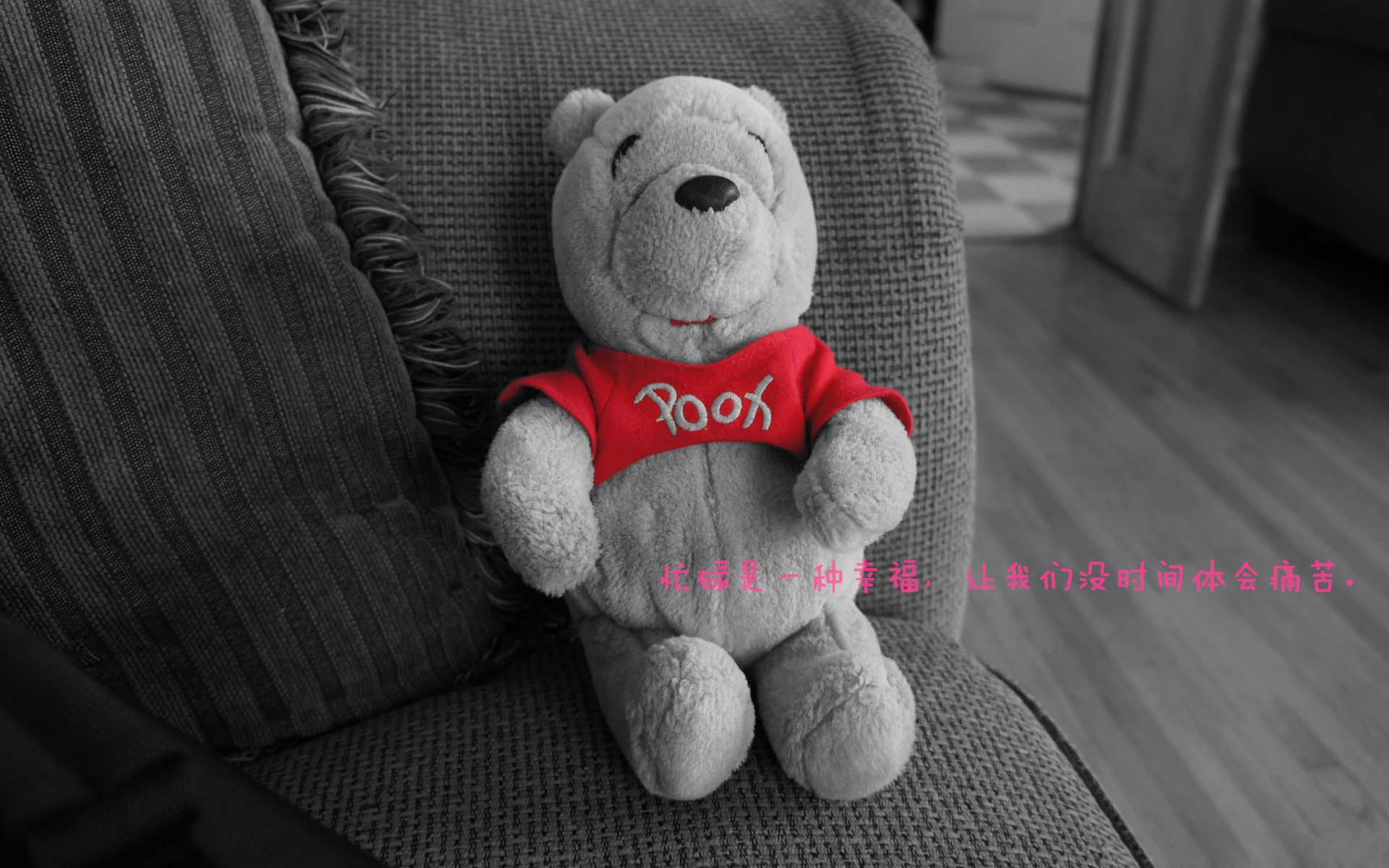 体育新闻中心联合头部平台开展体育话题共创计划，体育新闻分享