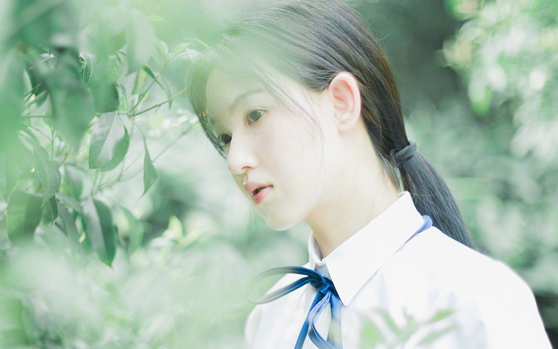 冠军蝶泳划水周期全程无明显波动，蝶泳 决赛