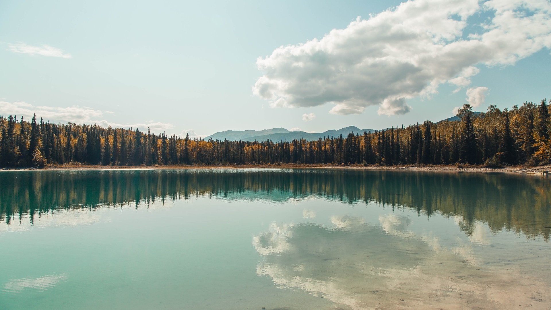 英超榜首大战 曼城主场力克阿森纳，英超第17轮_曼城15连胜创英超纪录 阿森纳利物浦遭平局