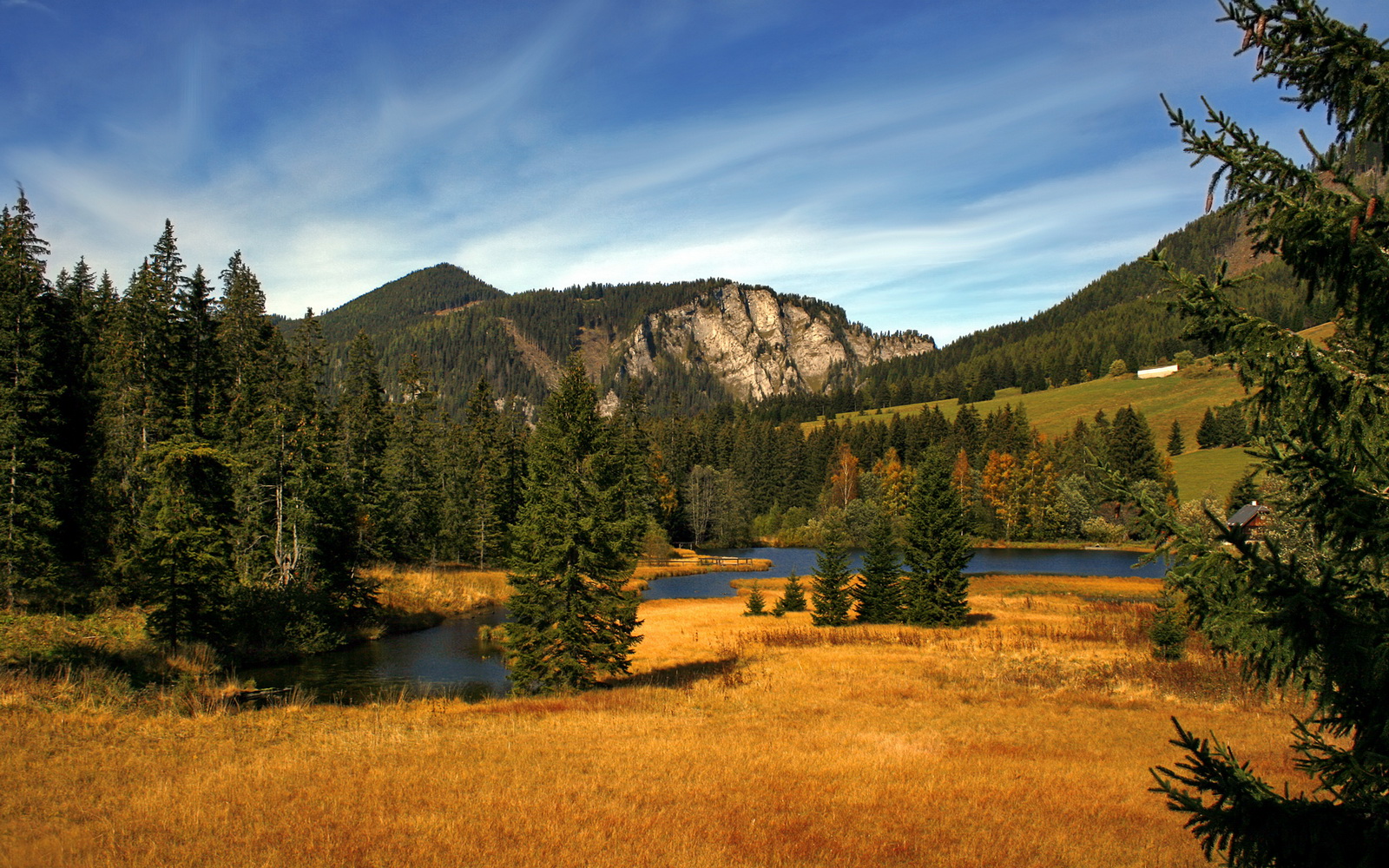 CBA球员家庭支持计划上线保障球员后顾无忧，cba球员家属看比赛坐哪里