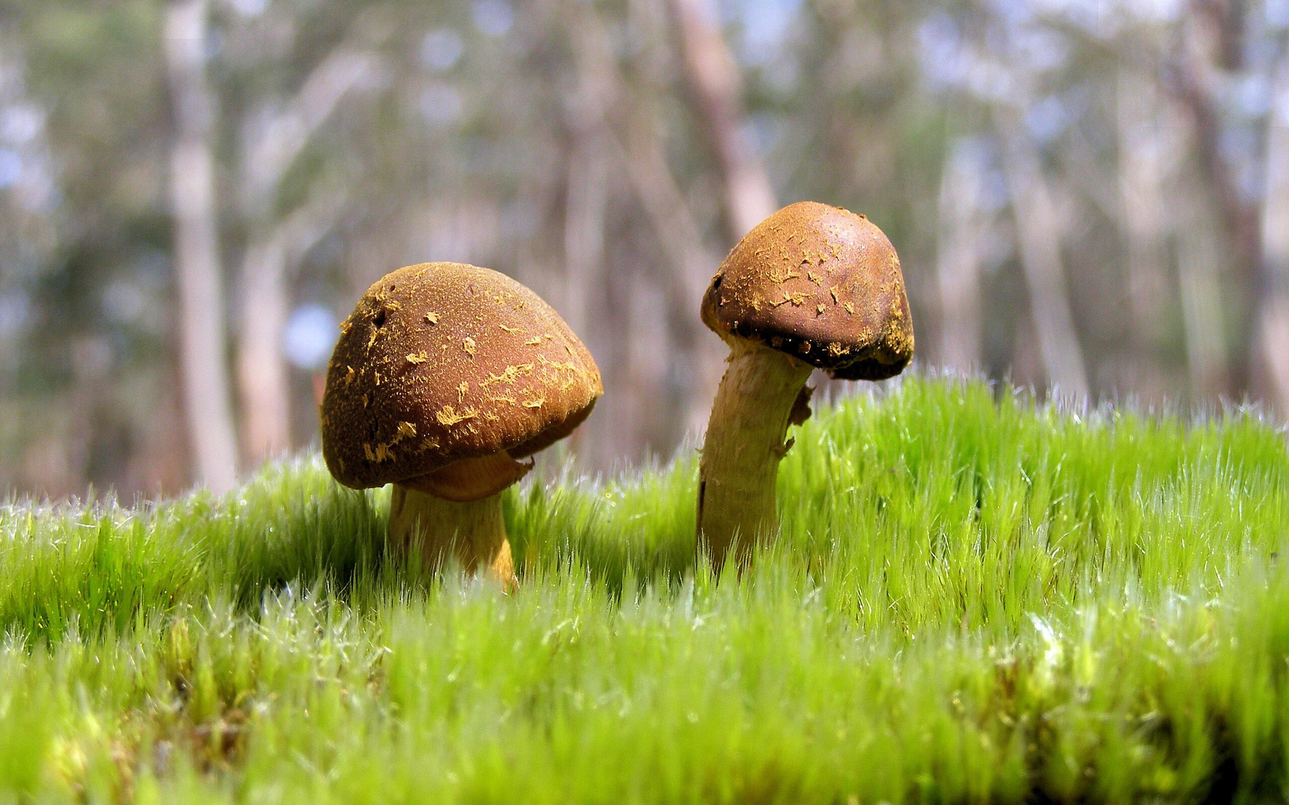 乔治火力全开快船继续刷新纪录,乔治 快船