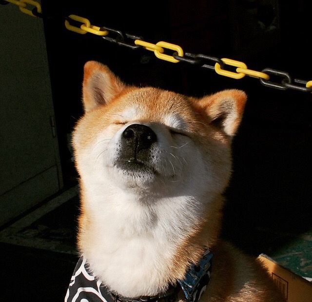 爱游戏体育（AYX）官方APP下载-冬季两项运动员集训成果，冬季两项运动员集训成果怎么写