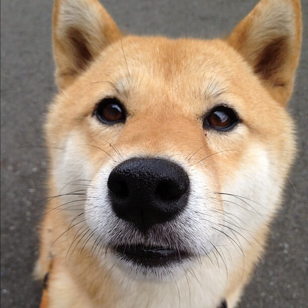 国家体育总局公告全国综合性体育会议会期安排，全国体育大会