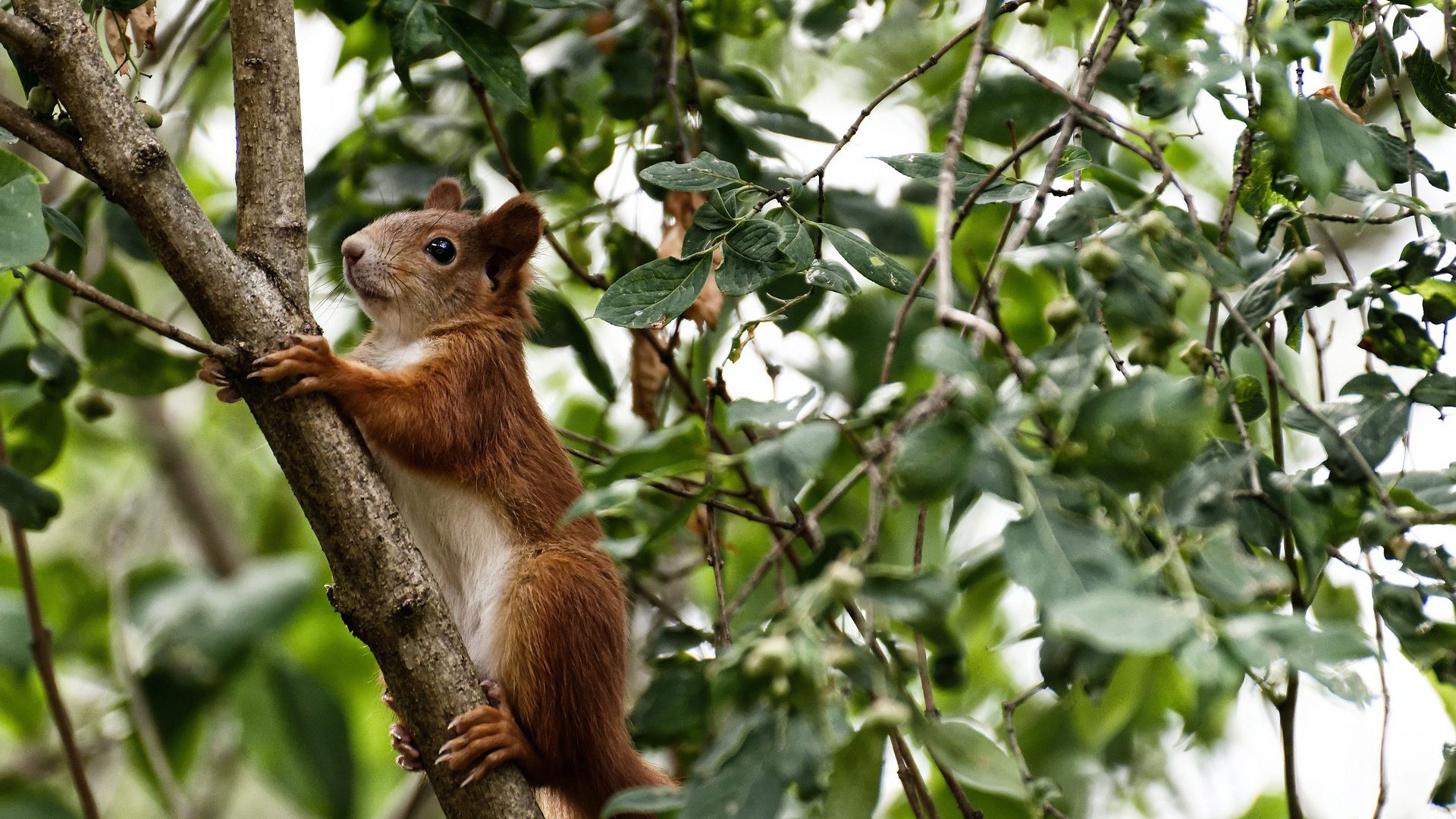 篮球联赛季后赛战况汇总,篮球比赛季后赛什么意思