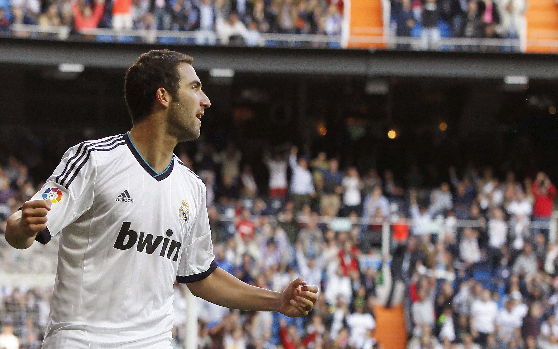 美洲杯激情夜：明星闪耀，精彩不断！，美洲杯锦集