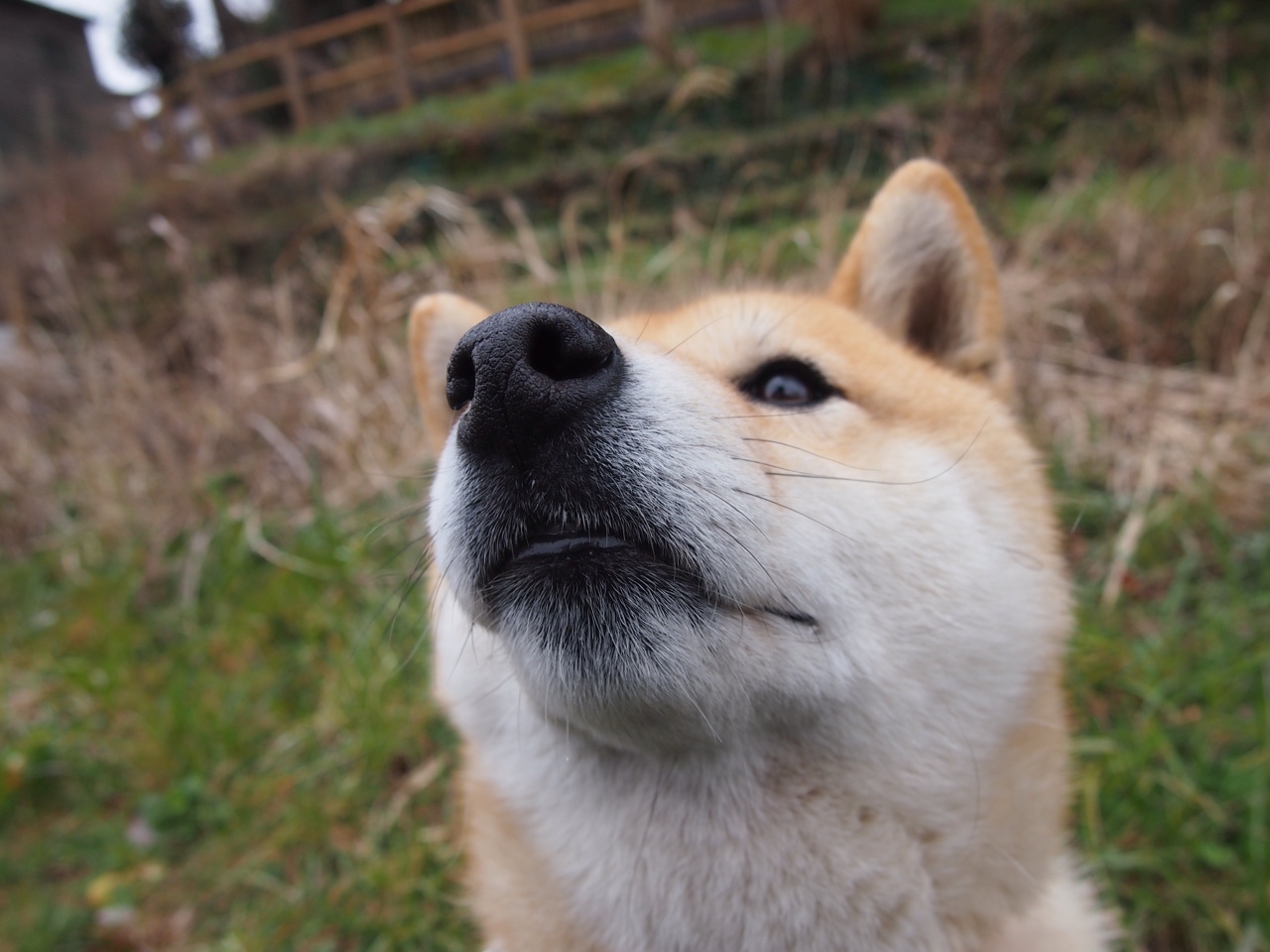 职业联赛设立形象推广日提升球员品牌影响力，职业联赛的意义