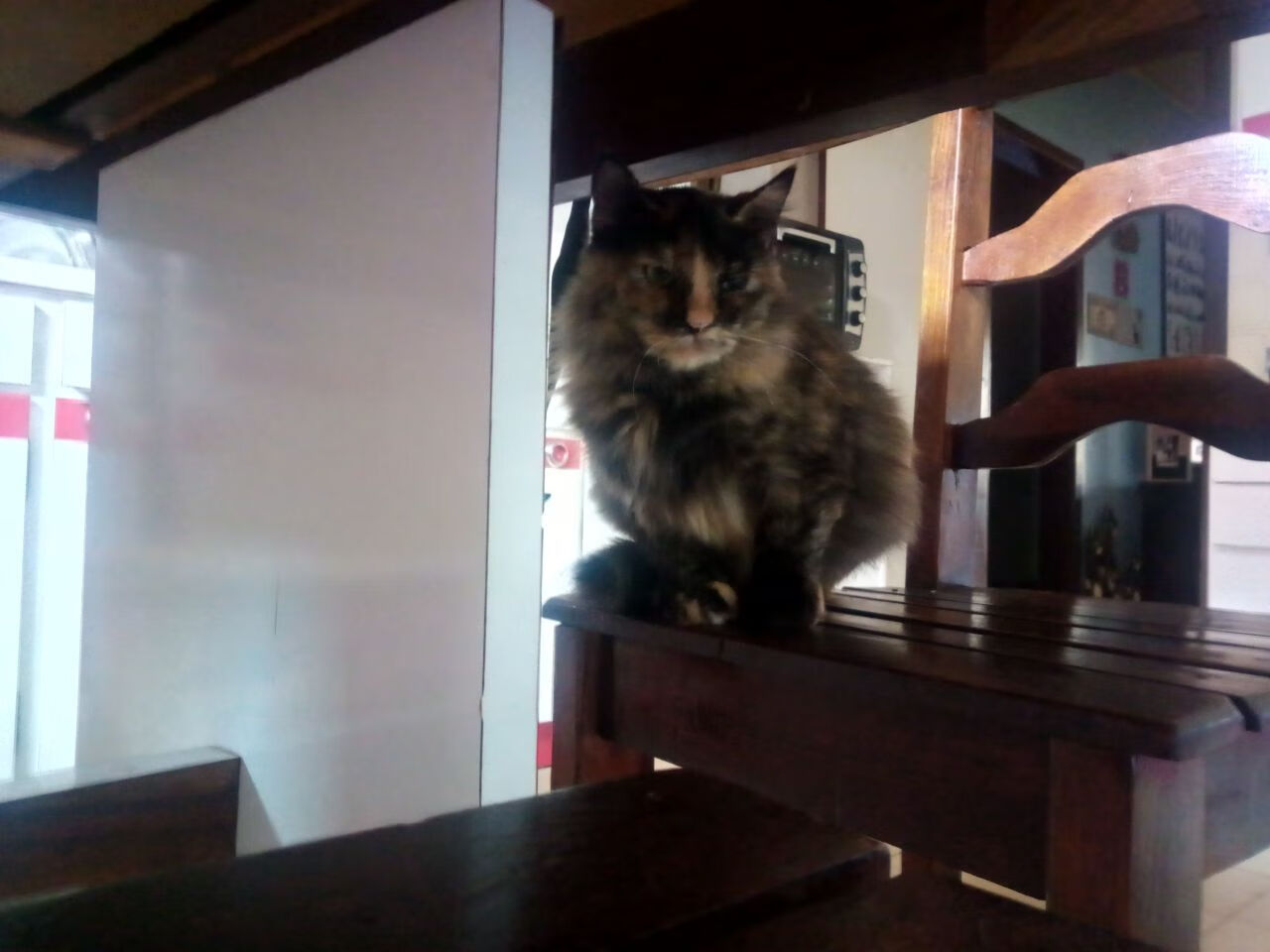 爱游戏app下载-阿森纳青训不断培养新星，球队活力十足