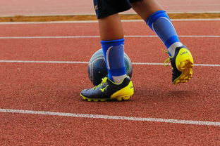 爱游戏登录-NBA球员训练营最新发展动态，nba球员日常训练项目