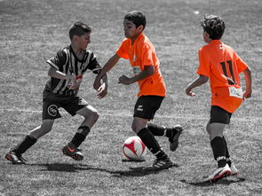 AYX体育-NBA球员训练营活动，nba球员训练营活动安排